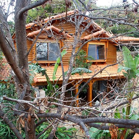 Ohn-Bar Guesthouse อามิริม ภายนอก รูปภาพ